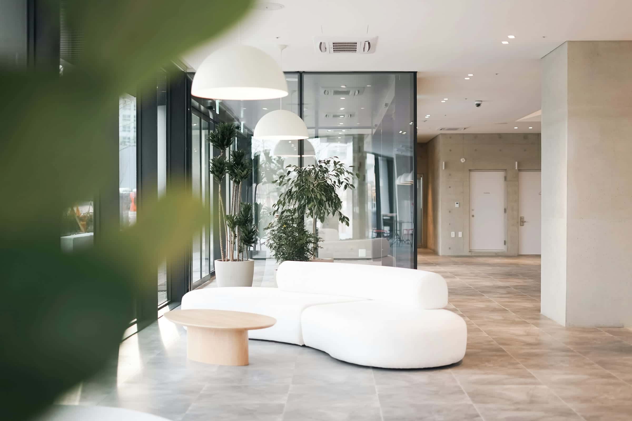 A bright lobby with a curved white sofa, plants and glass partitions.