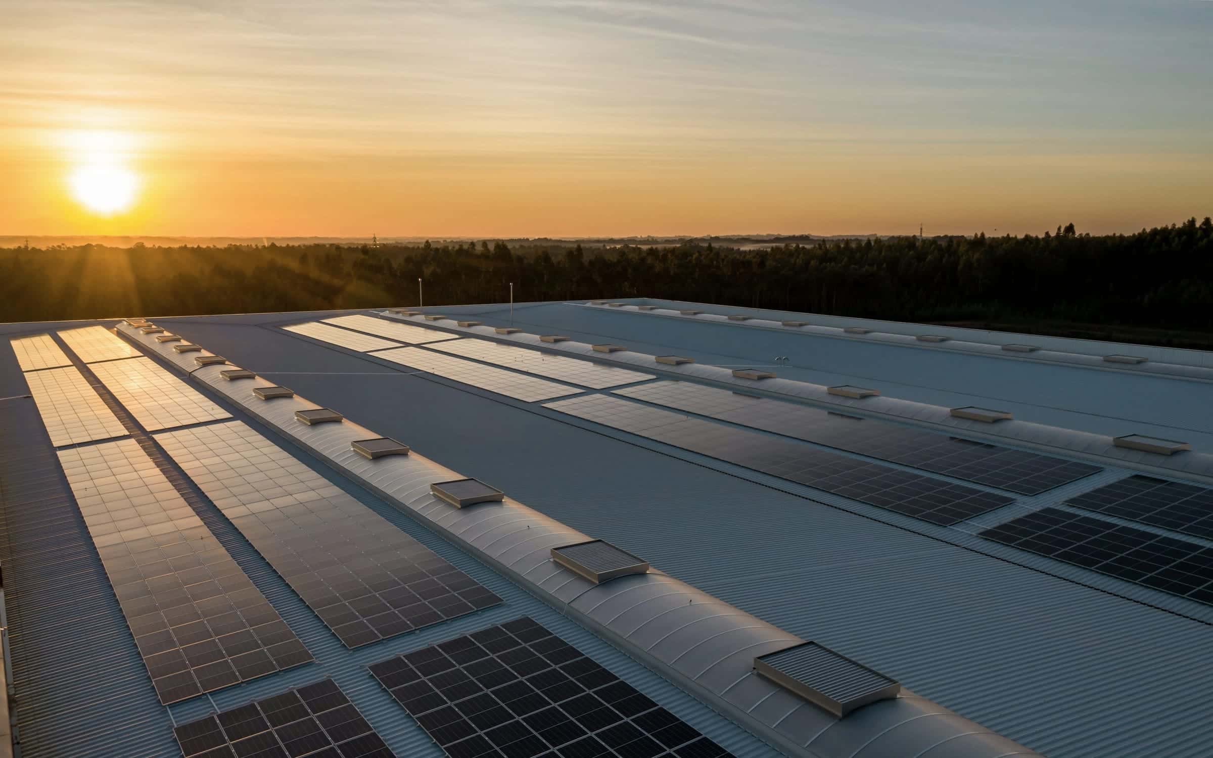 Rows of solar panels on a large roof, with the sun setting over a forest beyond.