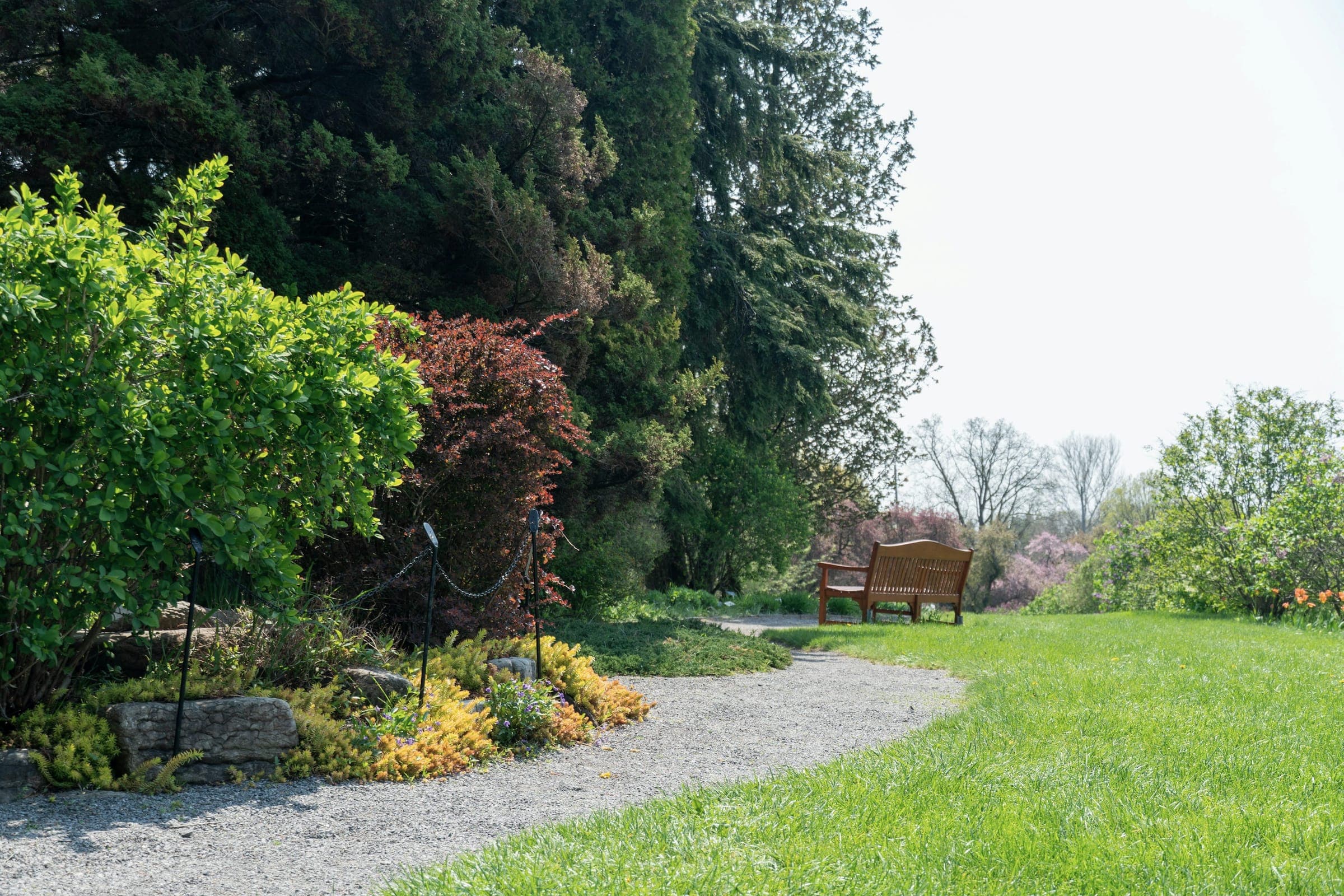 A gravel path curving through shrubs and flowering beds to a bench on a lawn.